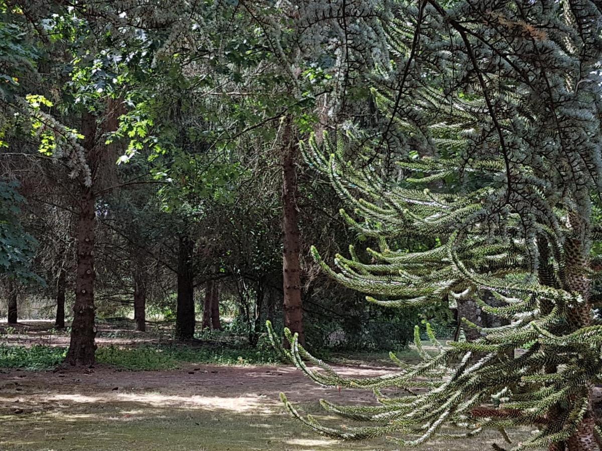 Le Clos Des Ecureuils Vouzon Buitenkant foto