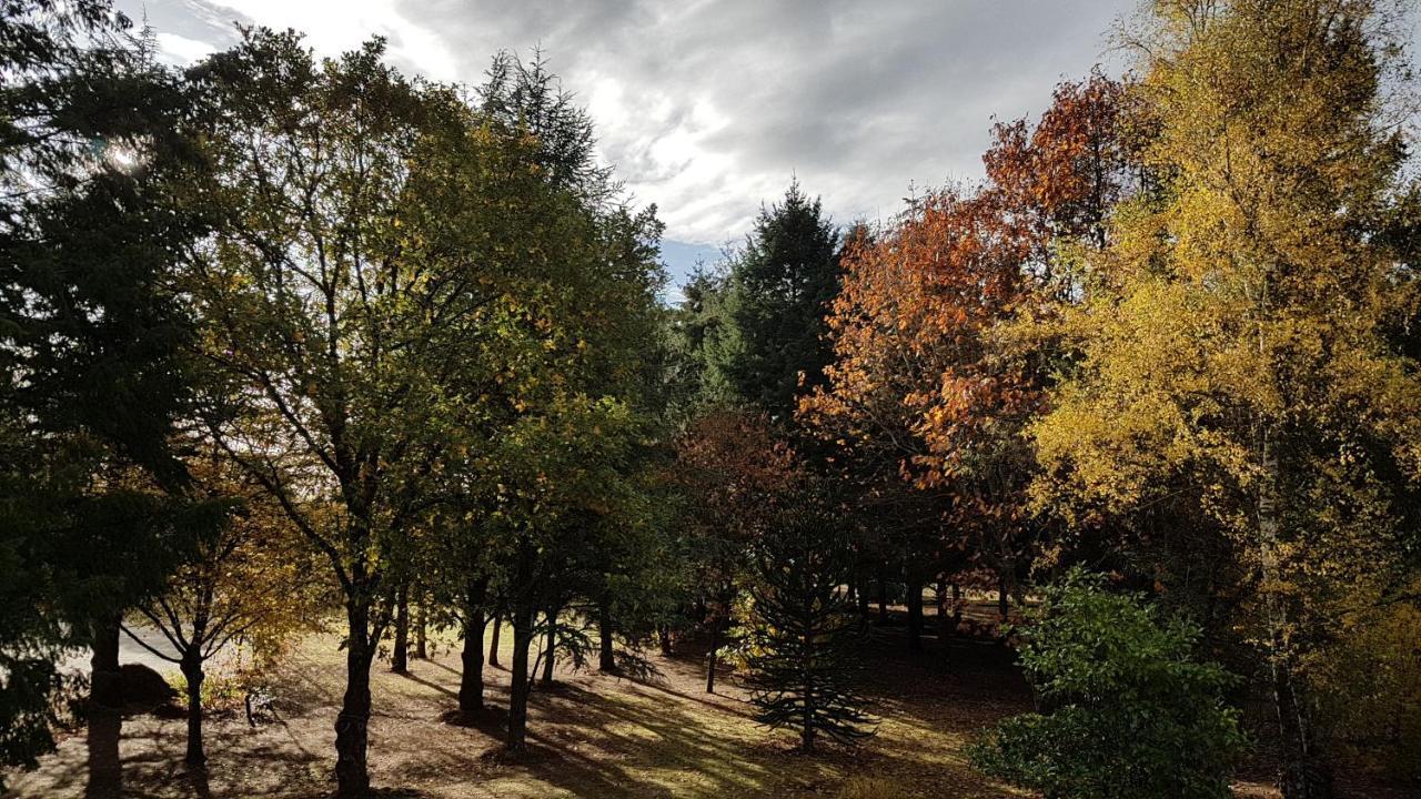 Le Clos Des Ecureuils Vouzon Buitenkant foto