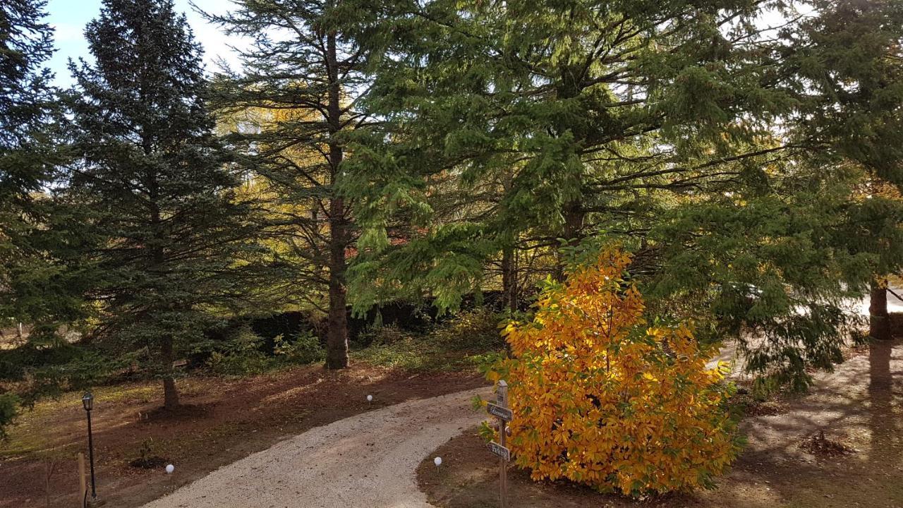Le Clos Des Ecureuils Vouzon Buitenkant foto
