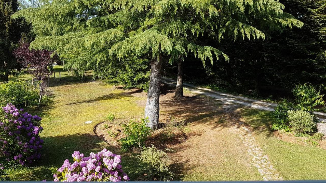 Le Clos Des Ecureuils Vouzon Buitenkant foto