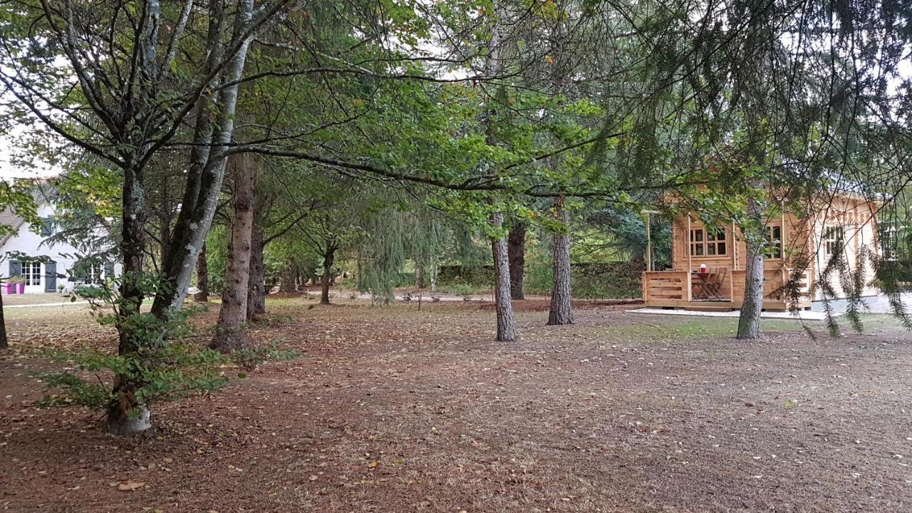 Le Clos Des Ecureuils Vouzon Buitenkant foto