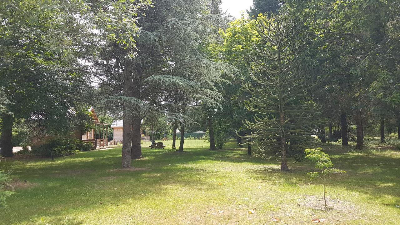 Le Clos Des Ecureuils Vouzon Buitenkant foto