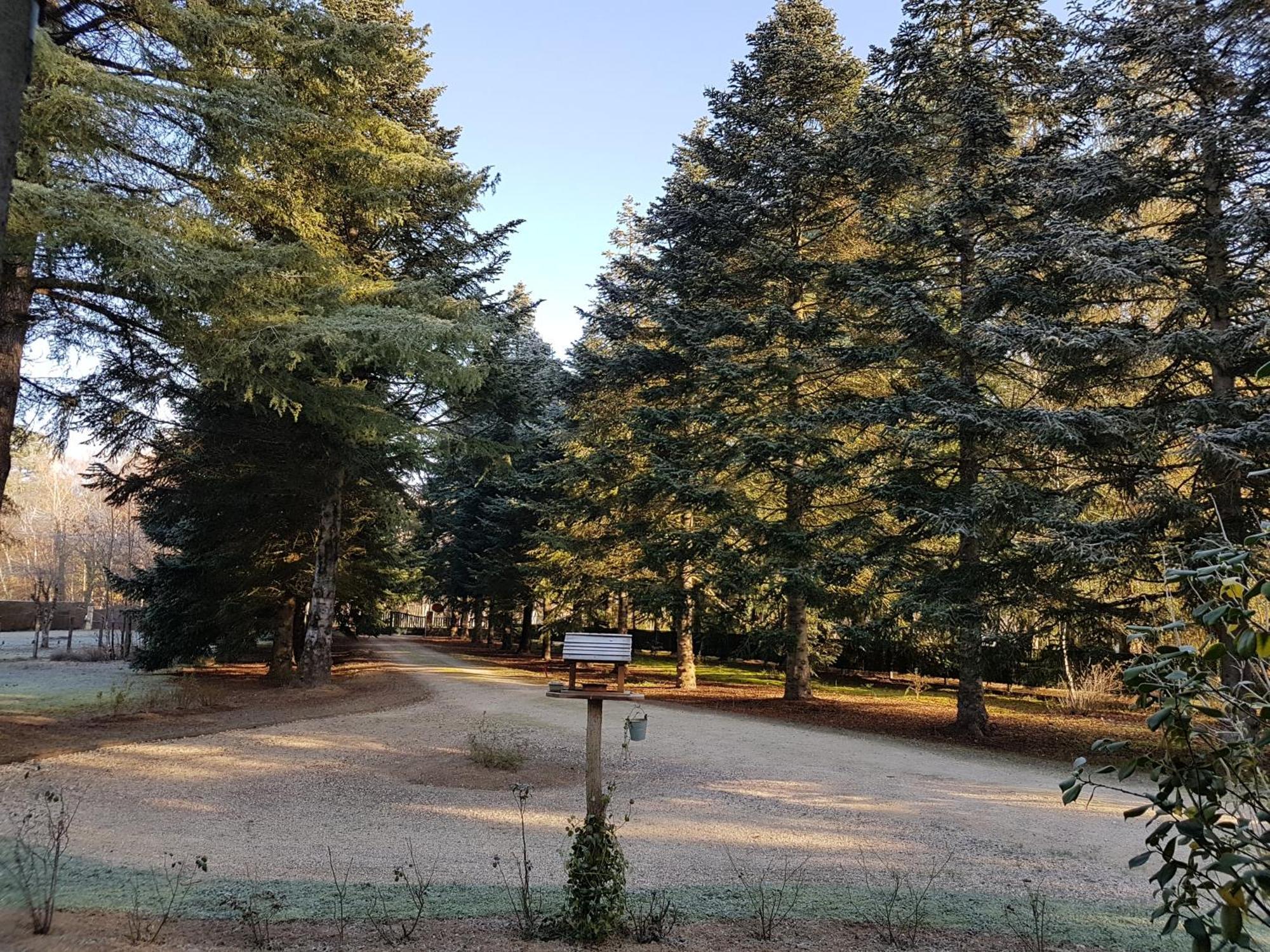 Le Clos Des Ecureuils Vouzon Buitenkant foto