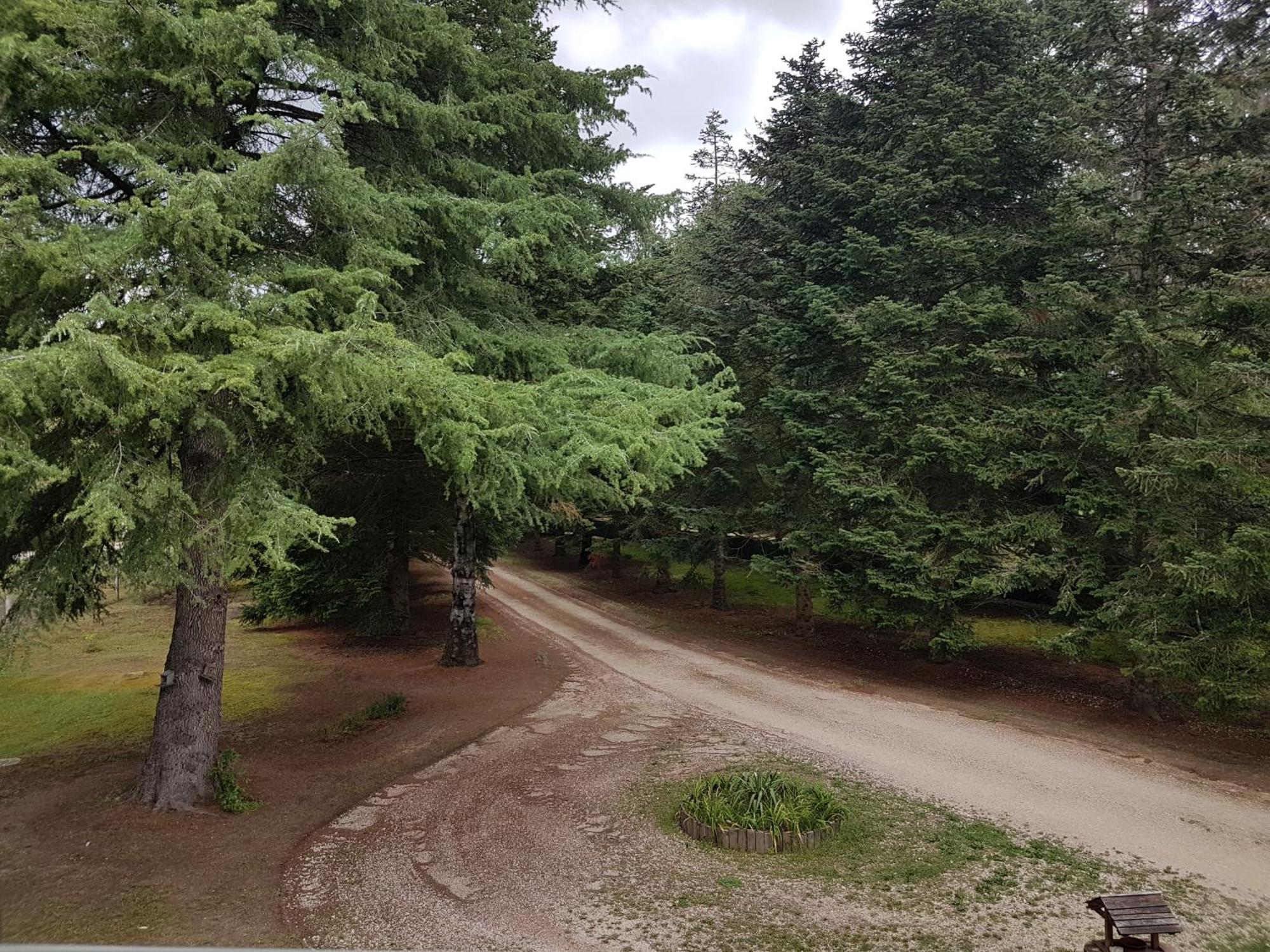 Le Clos Des Ecureuils Vouzon Buitenkant foto