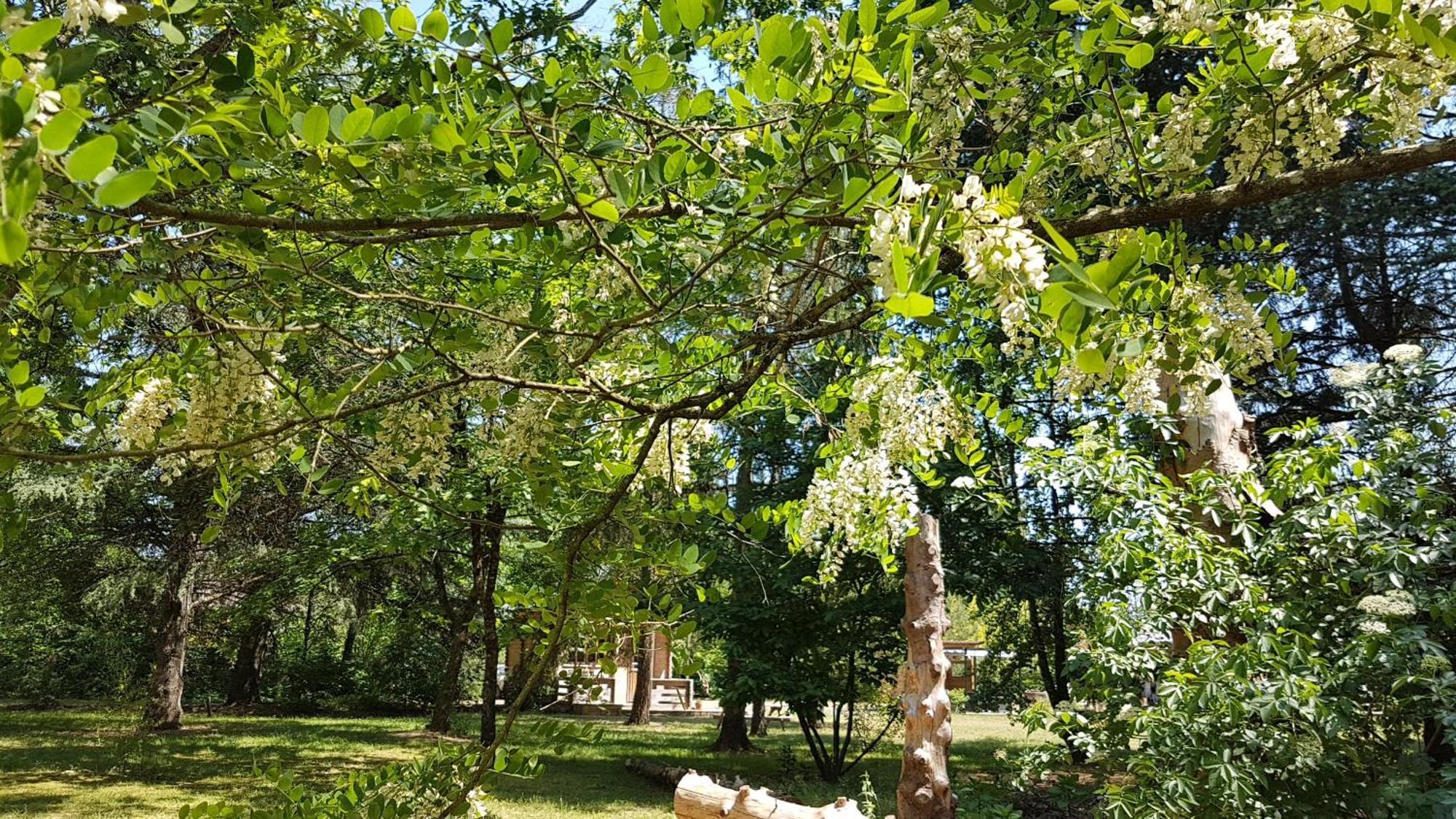 Le Clos Des Ecureuils Vouzon Buitenkant foto